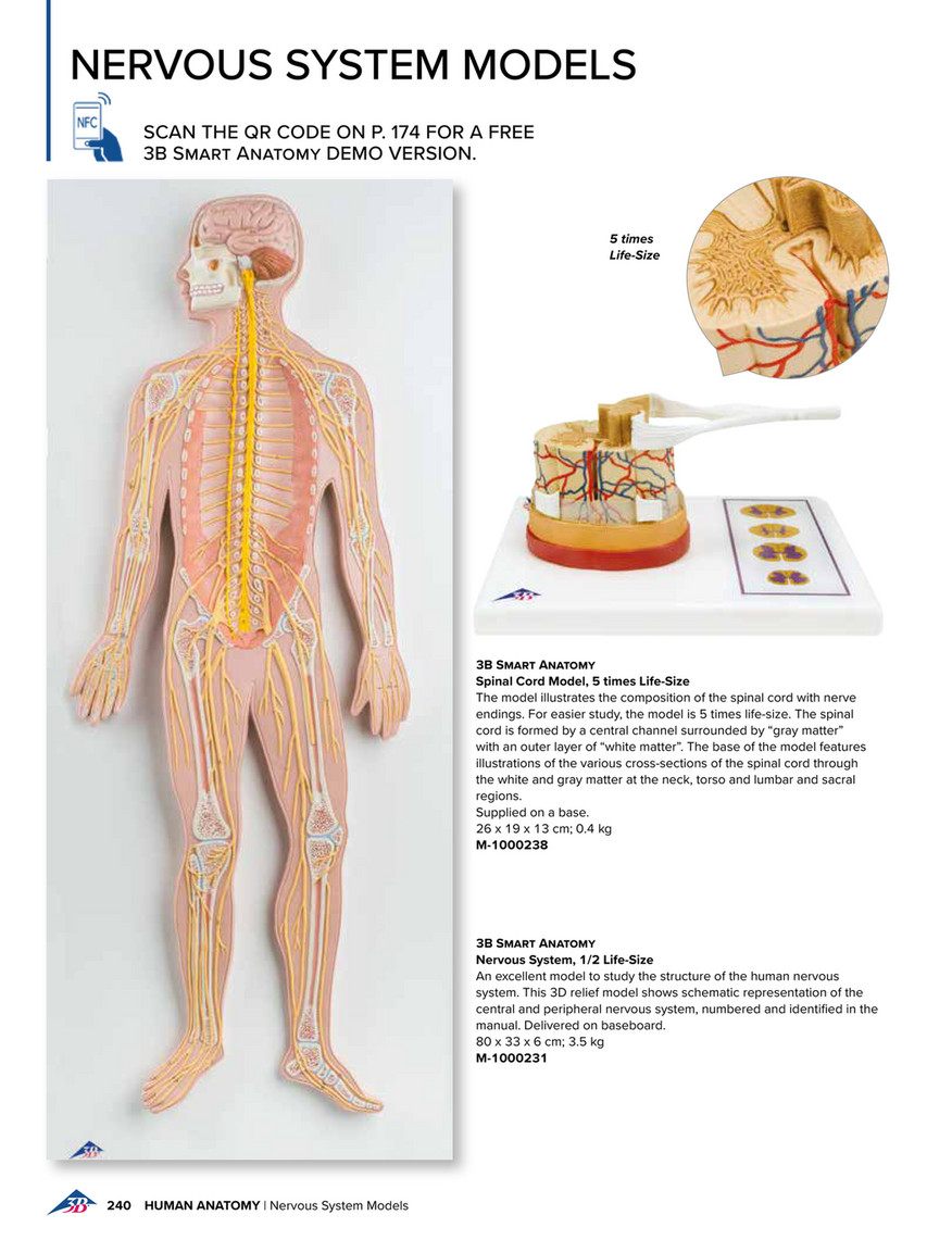 the-meaning-of-all-human-life-3d63ebea2b2d-6