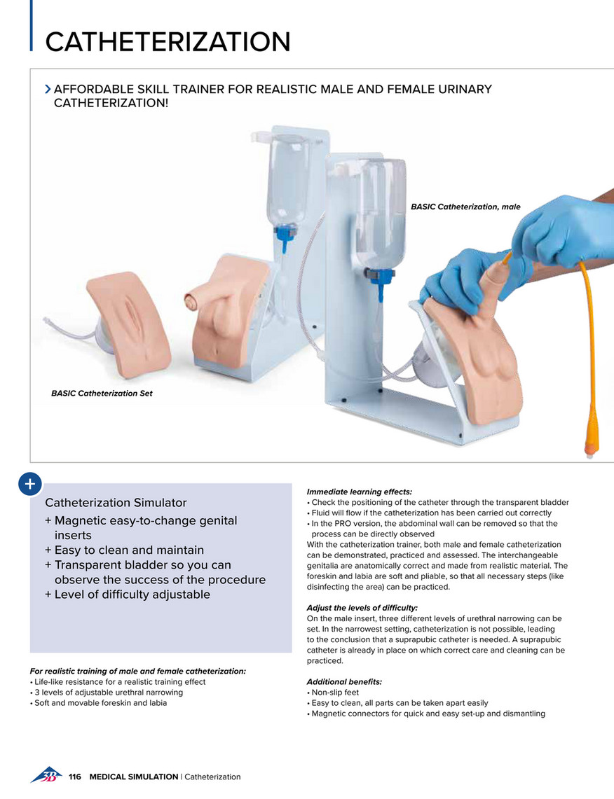 3B Scientific Medical Catalog English - Transparent Male Catheter Model