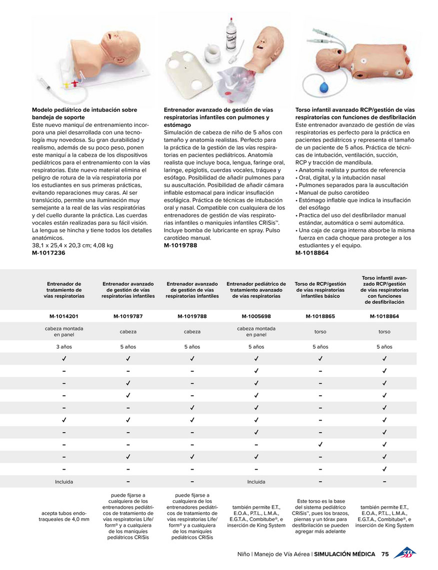 3B Scientific - 3B Scientific Educación Médica - Spanish - NEW  SIM<em>one™</em> Birthing Simulator