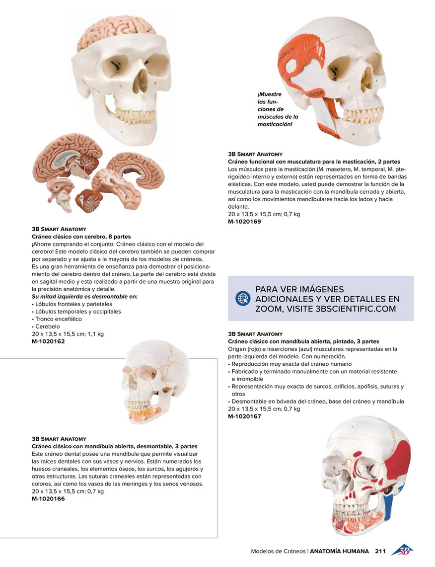 Cranium clásico hot sale