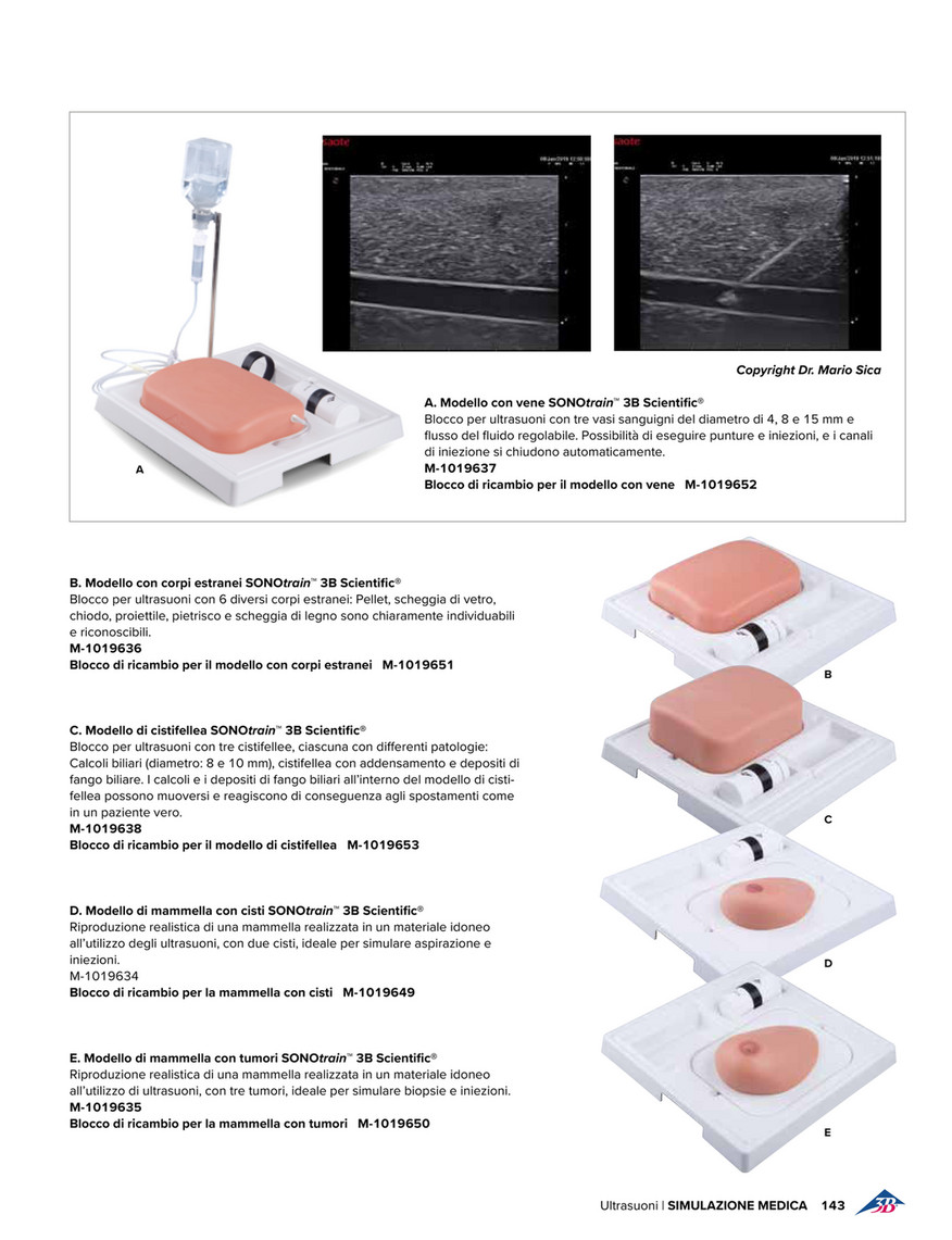 3B Scientific - 3B Scientific Medicina 2020 - Italian - SONO<em