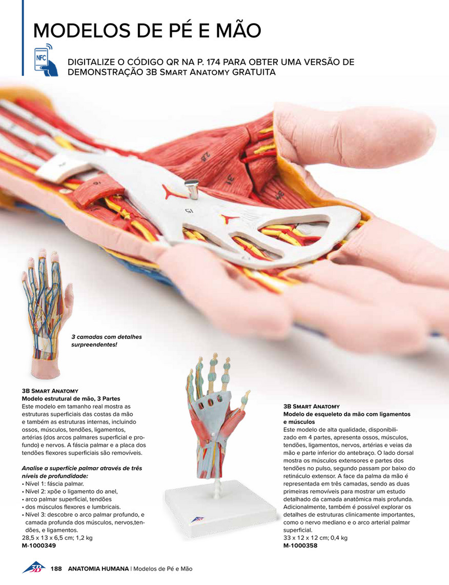 Anatomia Surpreendente