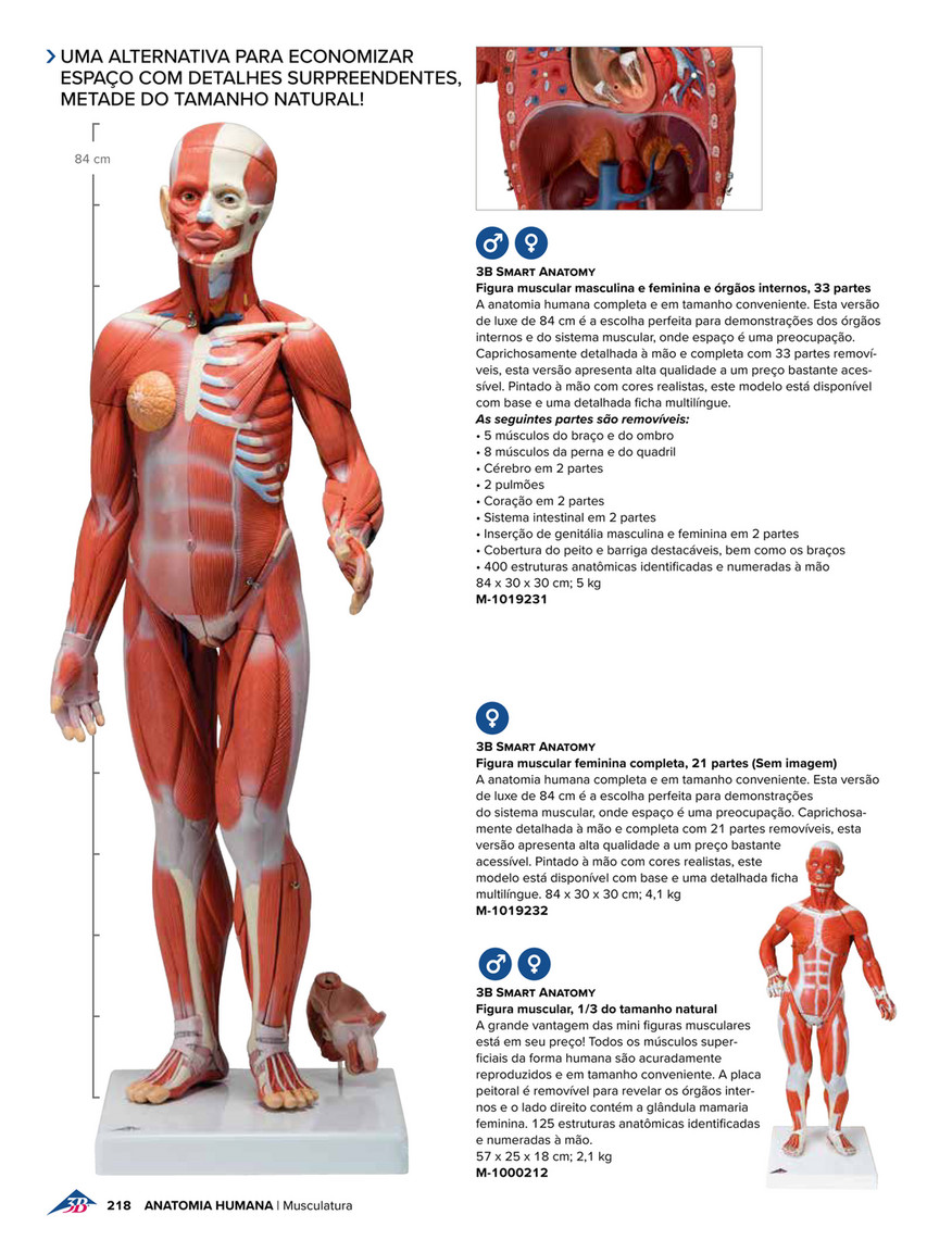 Anatomia Surpreendente