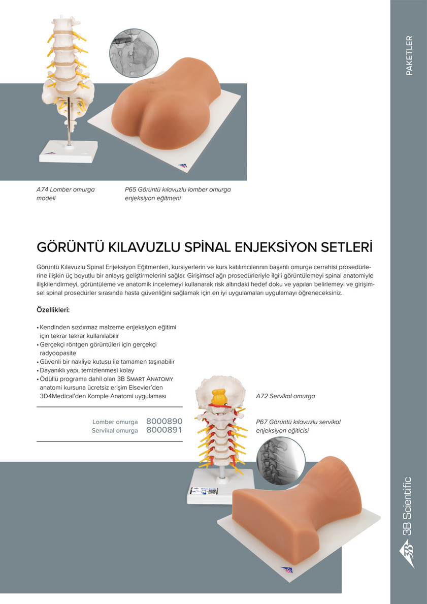 3B Scientific - 3B Scientific Medikal Simülasyon - Turkish