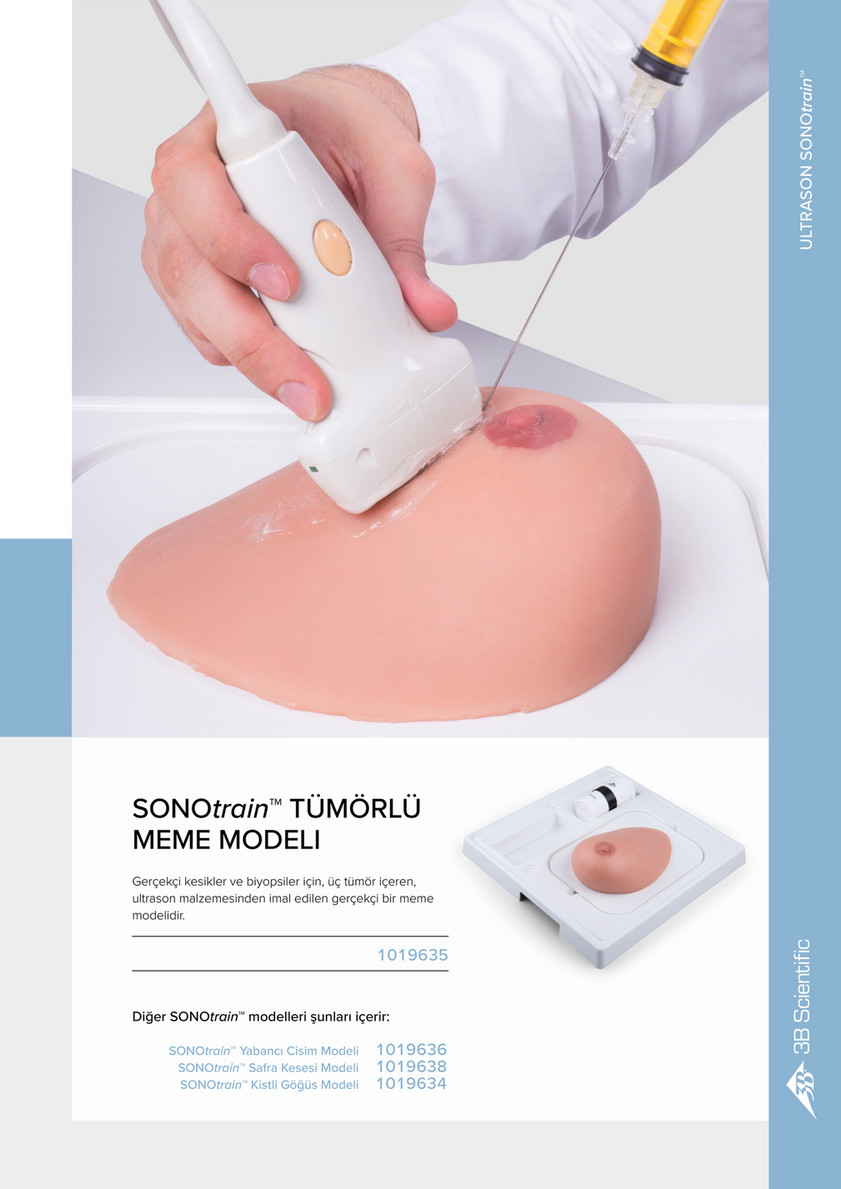 3B Scientific - 3B Scientific Medikal Simülasyon - Turkish