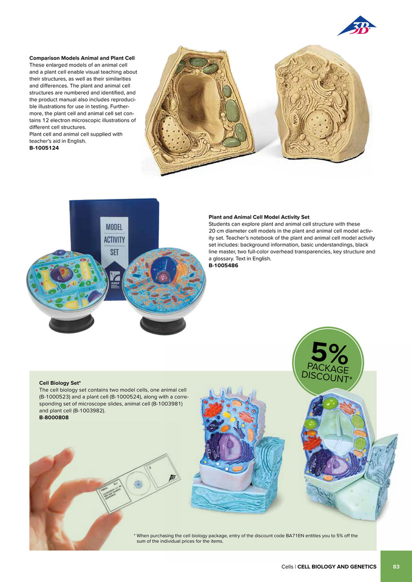 3B Scientific - 3B Scientific Natural Sciences Catalog - English - Human Cell Model, 40,000 Times Life-Size 3B Scientific - 3B Scientific Natural Sciences Catalog - English - Human Cell Model, 40,000 Times Life-Size