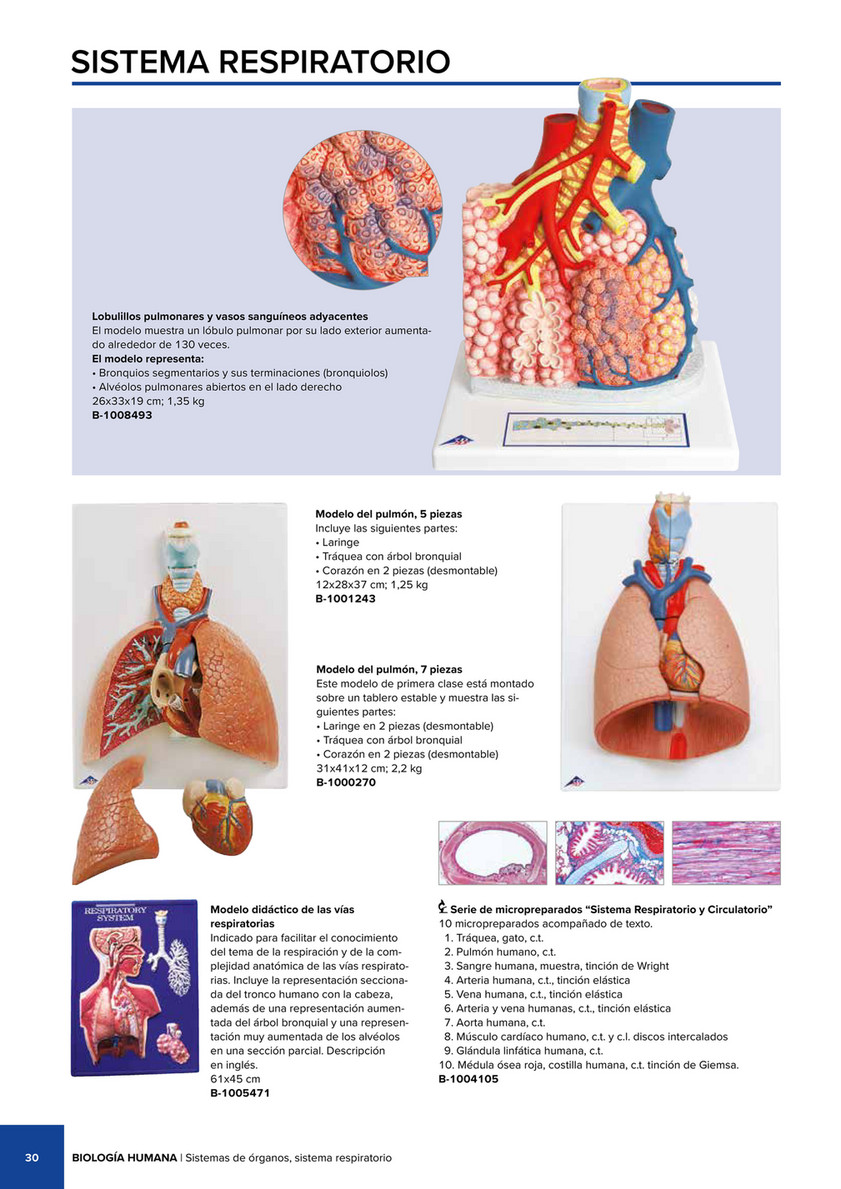 3B Scientific 3B Scientific Natural Sciences Catalog Spanish